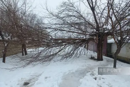 Güclü qar Cəlilabad və Biləsuvarda ciddi fəsadlar törətdi – FOTOLAR