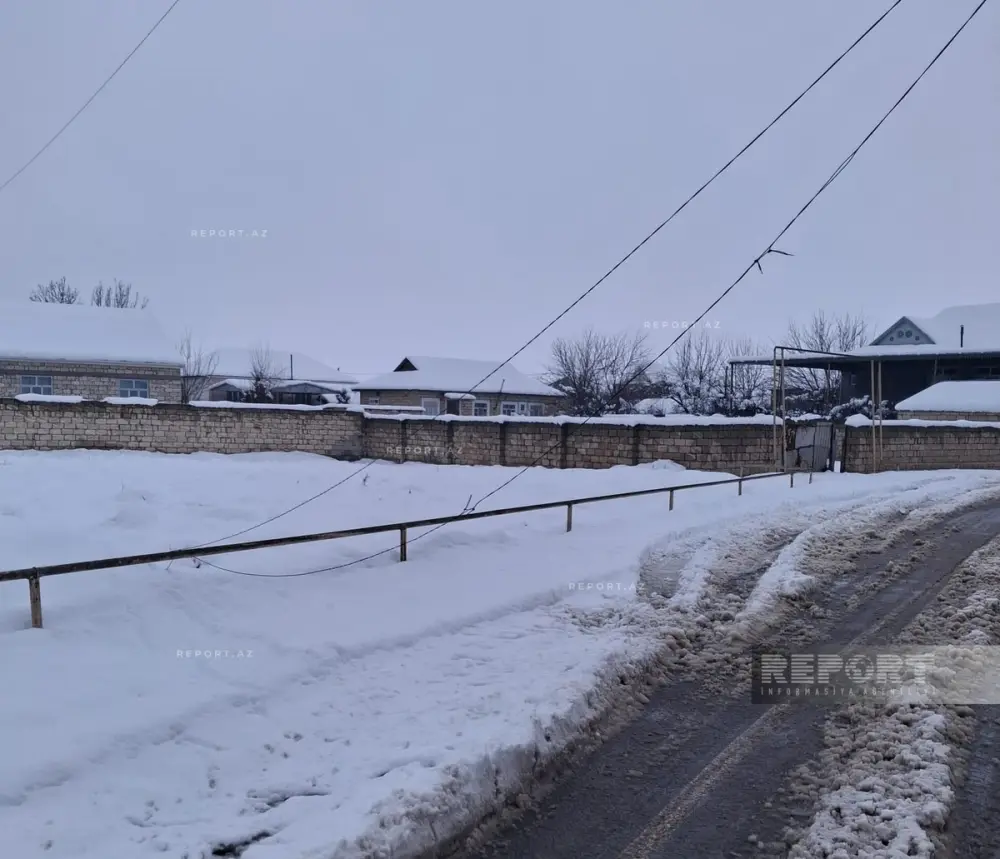 Güclü qar Cəlilabad və Biləsuvarda ciddi fəsadlar törətdi – FOTOLAR