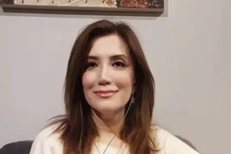 Gültəkin Hacıbəyli Azərbaycana deportasiya edildi