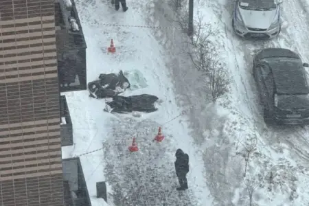 Moskvada azərbaycanlı cütlüyün cəsədi tapıldı