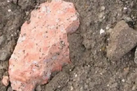 Buzun altından tapılan bu nadir kəşf hər kəsi şoka saldı