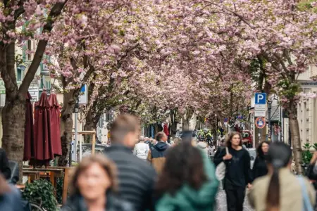 Bu ölkənin əhalisi ilə bağlı bədbin proqnoz
