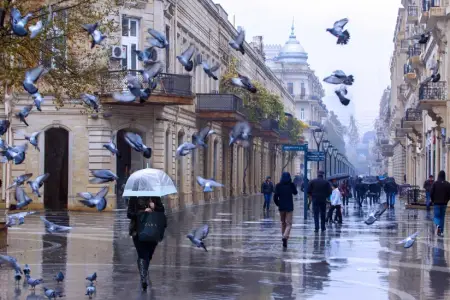 Sabahın hava proqnozu 