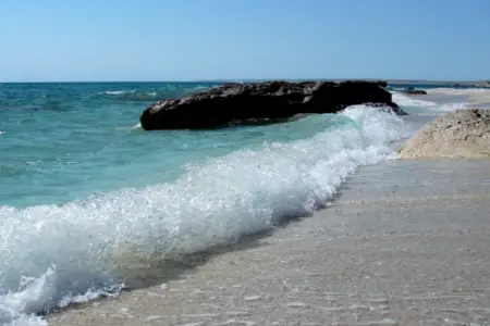 Xəzər dənizindən yayılan görüntülər şok etdi: Həyəcan təbili çalınır