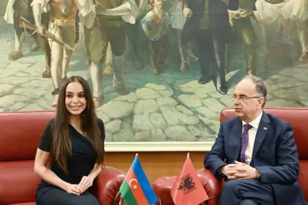Leyla Əliyeva Albaniyaya səfərindən görüntülər paylaşdı
