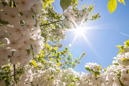 Sabah 11 dərəcə isti olacaq - PROQNOZ