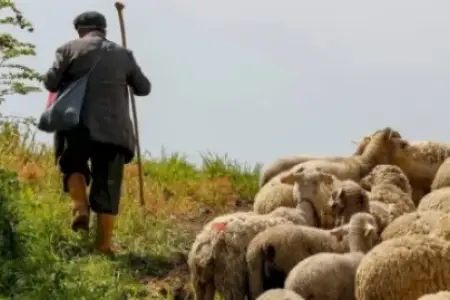 Ağstafada 44 yaşlı çobanın meyiti tapıldı