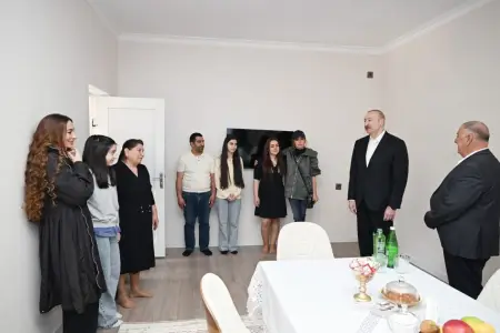 Prezident İlham Əliyev Xocavənd kəndində görülmüş işlərlə tanış oldu