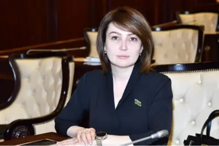 Jalə Əhmədovaya heç bir cərimə tətbiq olunmayıb  - RƏSMİ