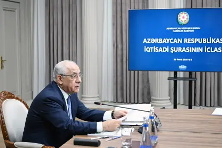 İqtisadi Şuranın iclası keçirildi - Fotolar