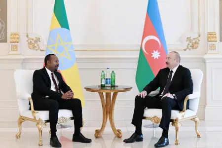 Prezident Abiy Əhməd Əli ilə təkbətək görüşdü - Fotolar