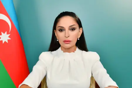 Azərbaycan və Efiopiyanın birinci xanımları görüşdü