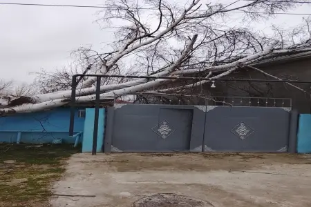 Biləsuvar və Cəlilabadda güclü külək fəsadlar törətdi