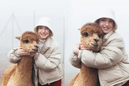 Prezidentin gəlininin alpaka fermasından maraqlı FOTOLARI