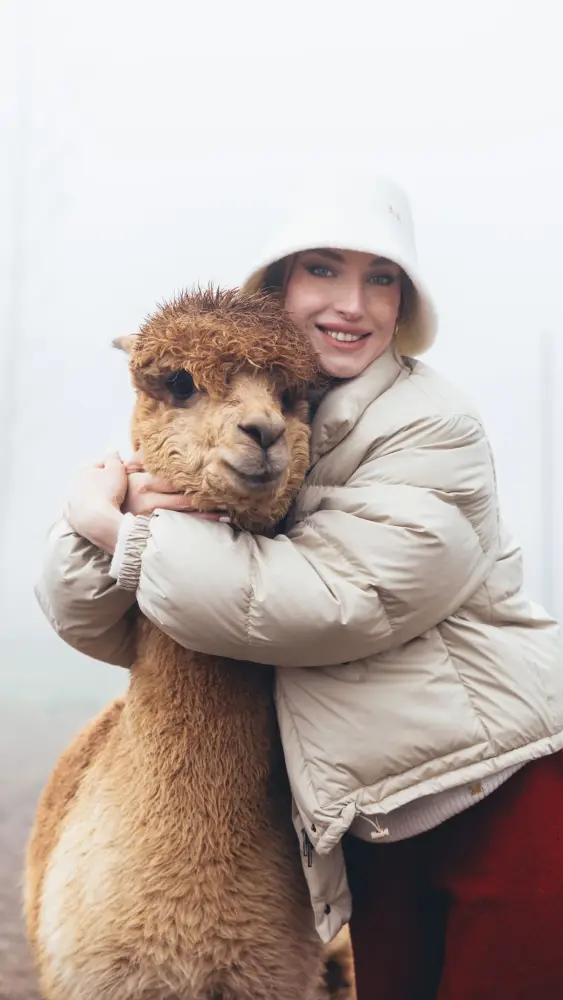 Prezidentin gəlininin alpaka fermasından maraqlı FOTOLARI