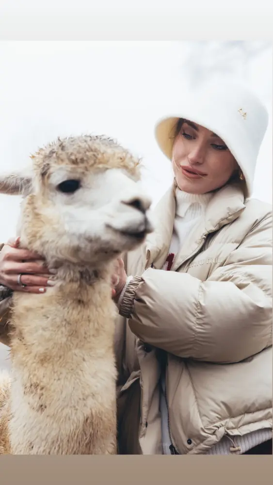 Prezidentin gəlininin alpaka fermasından maraqlı FOTOLARI