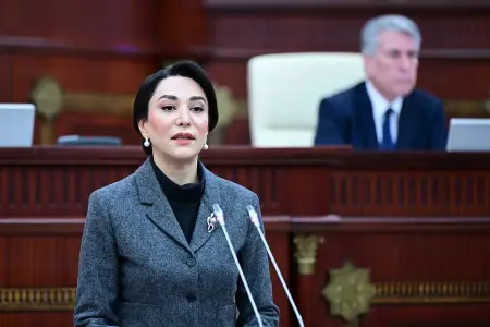 Ombudsman Milli Məclisdə hesabat verir