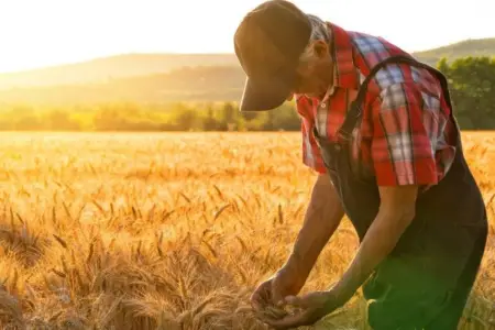 Bu şəxslərə ödənilən məbləğin yuxarı həddi artırılıb