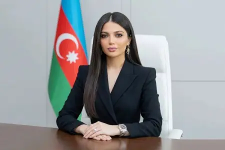 Bu vəzifəyə Vədiyə Ələkbərzadə təyin olundu