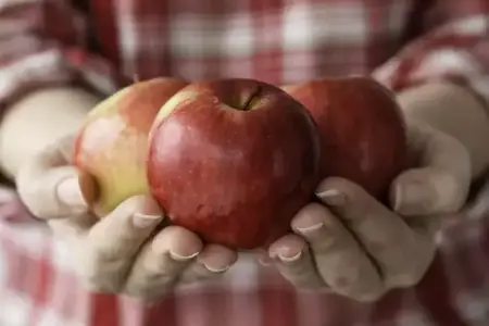 Alma və armudu sadəcə yumaq kifayət etmir 