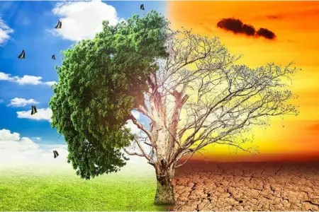 Beynəlxalq alimlərdən qlobal istiləşmə ilə bağlı xəbərdarlıq