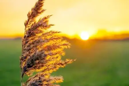 Bu gün Yel çərşənbəsidir