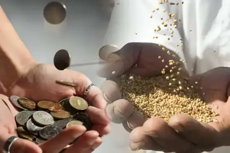 Fitrə zəkatı necə olmalıdır: Buğda, un, düyü, yoxsa pul? - QMİ AÇIQLADI