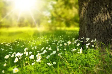 Sabah 14 dərəcə isti olacaq 