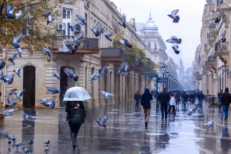 Külək əsəcək,yağış yağacaq - PROQNOZ