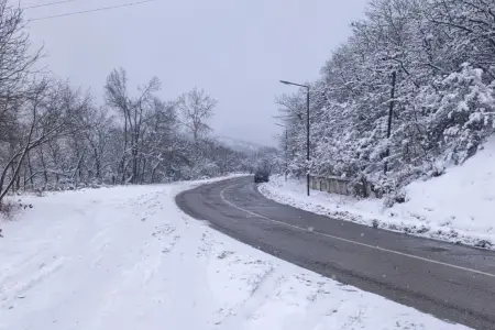 Bu rayonlara qar yağır - FAKTİKİ HAVA