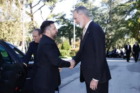 Zelenski Madriddə İspaniya Kralı ilə görüşüb