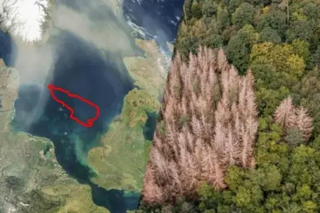 Dənizin dibində “itmiş dünya”nın izləri tapıldı