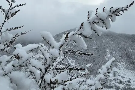 Şahdağa qar yağdı - FAKTİKİ HAVA