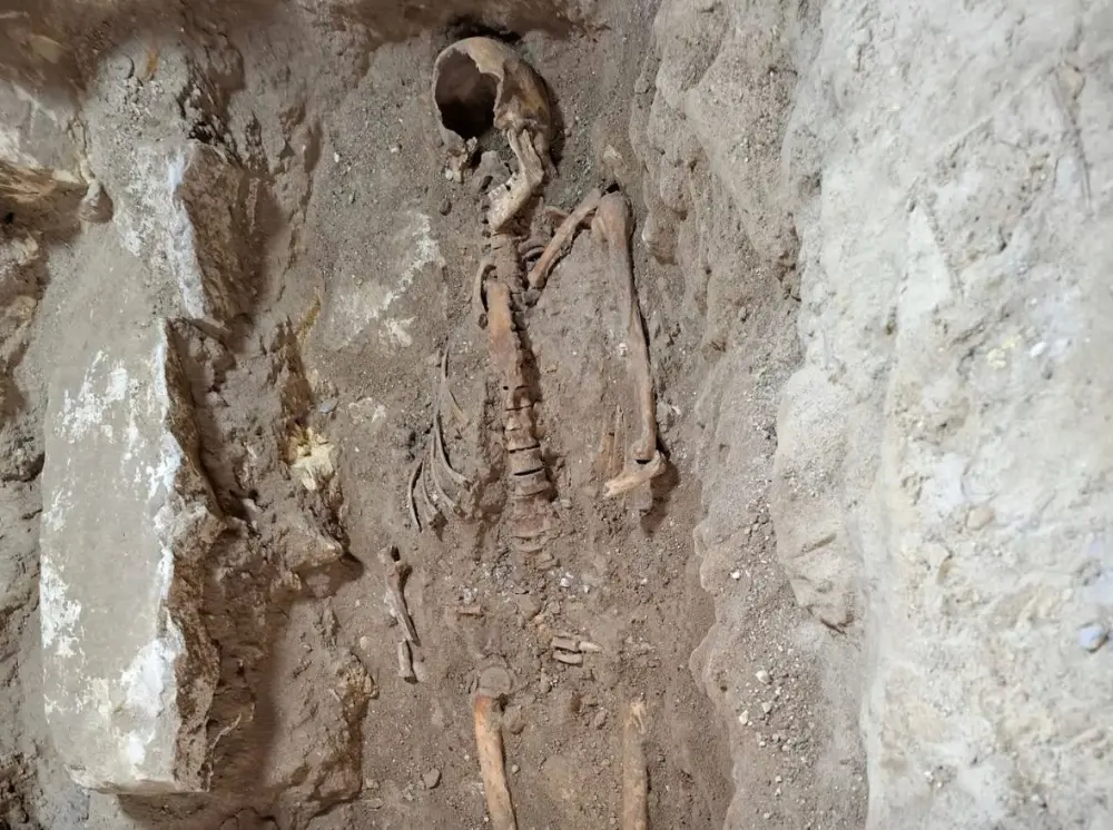 Niderlandda qeyri-adi tapıntı: Dartanyanın skeleti aşkarlandı – FOTO