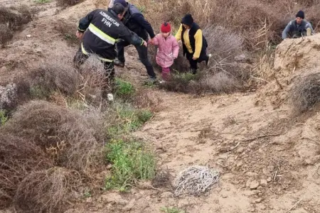 Samuxda xilasetmə: Bir ailənin 4 üzvü çaydan çıxarıldı