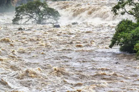 Bu çaylarda sel davam edir - Video