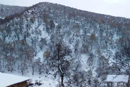 Laçında yüksək dağlıq ərazilərə qar yağdı - VİDEO