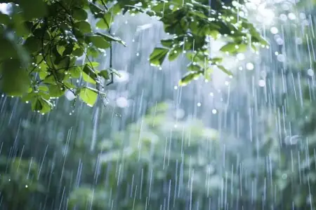 Sabah Azərbaycanın rayonlarına yağış və qar yağacaq - PROQNOZ