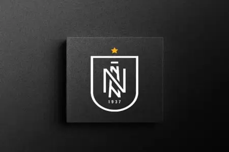 "Neftçi" 2024-cü ildə futbolçulara ən çox maaş ödəyən klub oldu