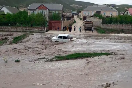 Qonşu ölkədə də evləri su basdı - Sel gəlib