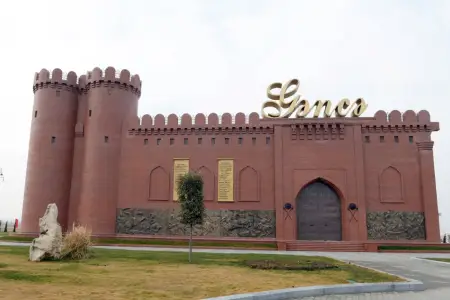 Gəncə sakini su çənini rəngləyərkən zəhərlənib öldü