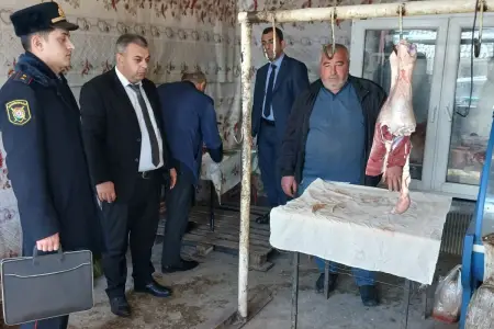 Daşkəsəndə antisanitar ət satışı - FOTO