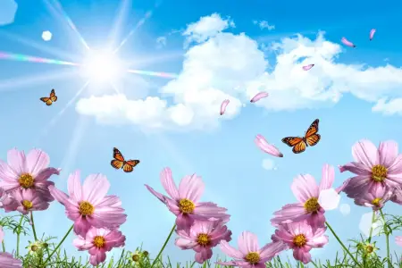 Sabah Bakıda 17, rayonlarda 23 dərəcə isti olacaq - PROQNOZ