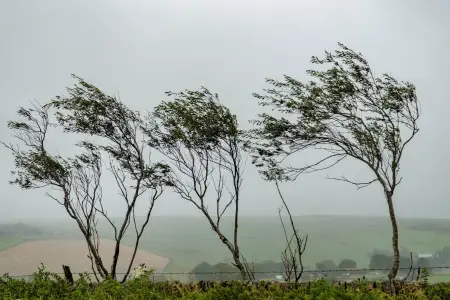 FHN hava şəraiti ilə əlaqədar əhaliyə müraciət etdi