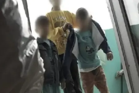 "Uşaqları dilənməyə məcbur edirlər" – Qonşular Tovuzdakı hadisədən danışdı