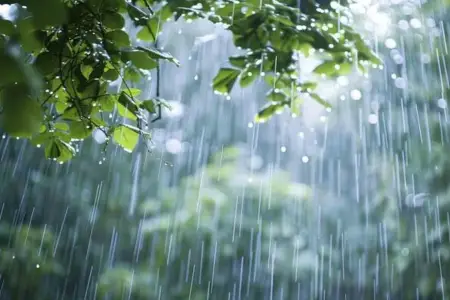 Sabahın hava proqnozu açıqlandı