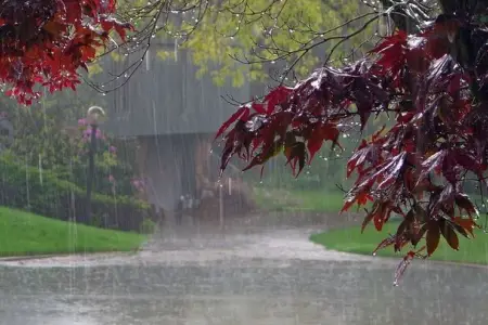 Sabah bu yerlərə yağış yağacaq - PROQNOZ