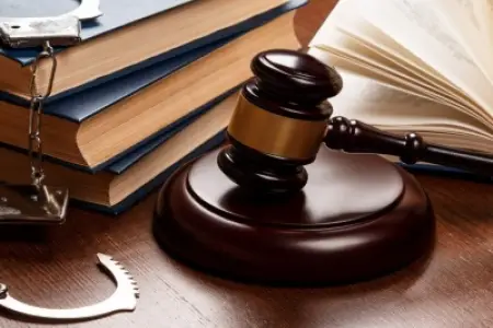 13 yaşlı qız məhkəmə qarşısında - 109 cinayət törədib