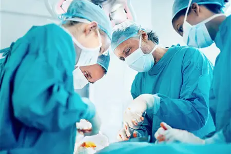 13 meyid donorun orqanları 73 xəstəyə həyat verdi - Statistika 