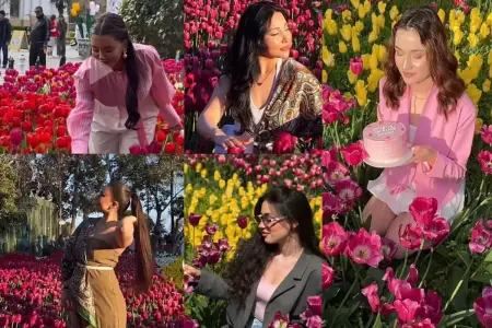 Bulvarda gülləri əzənlər blogerlər imiş – ADLAR